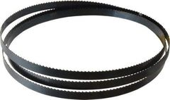 Starrett - 6 TPI, 6' 9" Long x 1/2" Wide x 0.025" Thick, Welded Band Saw Blade - Carbon Steel, Toothed Edge, Raker Tooth Set, Flexible Back, Contour Cutting - Exact Tool & Supply