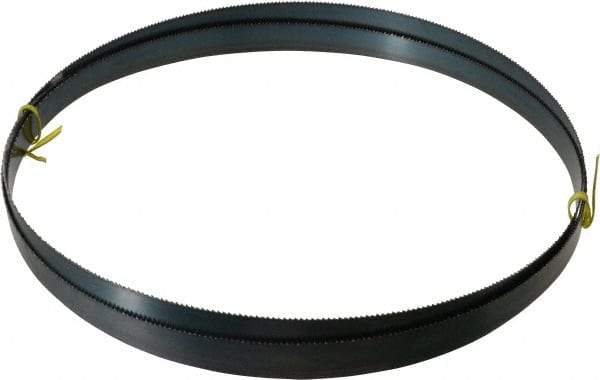 Starrett - 10 TPI, 10' Long x 3/4" Wide x 0.032" Thick, Welded Band Saw Blade - Carbon Steel, Toothed Edge, Raker Tooth Set, Flexible Back, Contour Cutting - Exact Tool & Supply