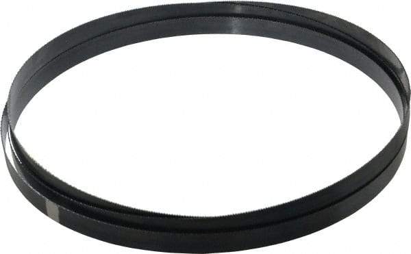 Starrett - 14 TPI, 10' Long x 3/4" Wide x 0.032" Thick, Welded Band Saw Blade - Carbon Steel, Toothed Edge, Raker Tooth Set, Flexible Back, Contour Cutting - Exact Tool & Supply