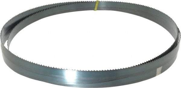 Starrett - 6 TPI, 10' Long x 3/4" Wide x 0.032" Thick, Welded Band Saw Blade - Carbon Steel, Toothed Edge, Raker Tooth Set, Flexible Back, Contour Cutting - Exact Tool & Supply