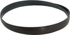 Starrett - 8 TPI, 10' Long x 3/4" Wide x 0.032" Thick, Welded Band Saw Blade - Carbon Steel, Toothed Edge, Raker Tooth Set, Flexible Back, Contour Cutting - Exact Tool & Supply
