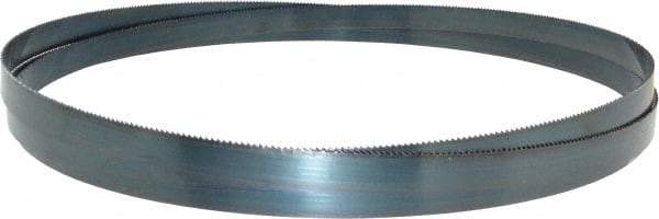 Starrett - 10/S TPI, 11' Long x 3/4" Wide x 0.032" Thick, Welded Band Saw Blade - Carbon Steel, Toothed Edge, Raker Tooth Set, Flexible Back, Contour Cutting - Exact Tool & Supply
