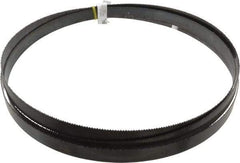 Starrett - 8/S TPI, 11' 6" Long x 1" Wide x 0.035" Thick, Welded Band Saw Blade - Carbon Steel, Toothed Edge, Raker Tooth Set, Flexible Back, Contour Cutting - Exact Tool & Supply