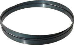 Starrett - 10/S TPI, 12' Long x 1" Wide x 0.035" Thick, Welded Band Saw Blade - Carbon Steel, Toothed Edge, Raker Tooth Set, Flexible Back, Contour Cutting - Exact Tool & Supply