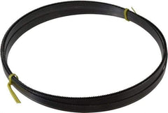 Starrett - 10/S TPI, 19' 6" Long x 5/8" Wide x 0.032" Thick, Welded Band Saw Blade - Carbon Steel, Toothed Edge, Raker Tooth Set, Flexible Back, Contour Cutting - Exact Tool & Supply