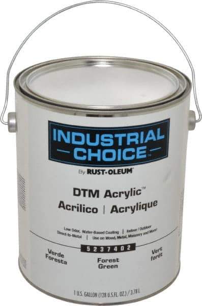 Rust-Oleum - 1 Gal Forest Green Semi Gloss Finish Alkyd Enamel Paint - Interior/Exterior, Direct to Metal, <250 gL VOC Compliance - Exact Tool & Supply