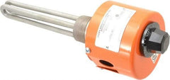 Value Collection - 2 Element, 6-1/8" Immersion Length, Standard Housing, Stainless Steel Pipe Plug Immersion Heater - 1 Phase, 120 Volt, 1,500 Watt, 66 Watts/Sq In, Stainless Steel Plug - Exact Tool & Supply