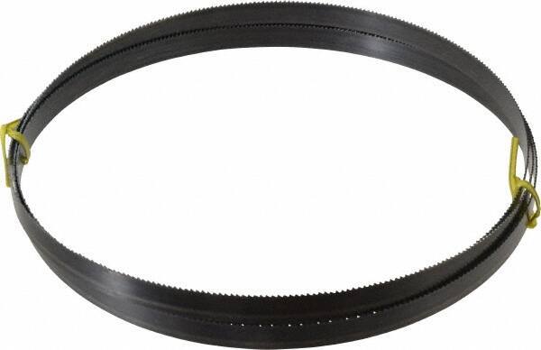 Starrett - 10 TPI, 8' 2-1/2" Long x 5/8" Wide x 0.032" Thick, Welded Band Saw Blade - Carbon Steel, Toothed Edge, Raker Tooth Set, Flexible Back, Contour Cutting - Exact Tool & Supply