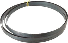 Starrett - 10 TPI, 14' 6" Long x 3/4" Wide x 0.032" Thick, Welded Band Saw Blade - Carbon Steel, Toothed Edge, Raker Tooth Set, Flexible Back, Contour Cutting - Exact Tool & Supply