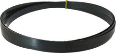 Starrett - 10 TPI, 14' 8" Long x 3/4" Wide x 0.032" Thick, Welded Band Saw Blade - Carbon Steel, Toothed Edge, Raker Tooth Set, Flexible Back, Contour Cutting - Exact Tool & Supply
