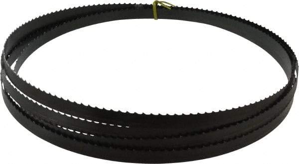 Starrett - 3 TPI, 19' 6" Long x 3/4" Wide x 0.032" Thick, Welded Band Saw Blade - Carbon Steel, Toothed Edge, Raker Tooth Set, Flexible Back, Contour Cutting - Exact Tool & Supply