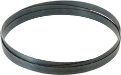 Starrett - 10 TPI, 8' 2" Long x 3/4" Wide x 0.032" Thick, Welded Band Saw Blade - Carbon Steel, Toothed Edge, Raker Tooth Set, Flexible Back, Contour Cutting - Exact Tool & Supply