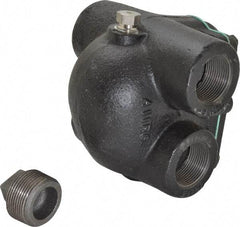 Watts - 4 Port, 1-1/4" Pipe, Cast Iron Float & Thermostatic Steam Trap - 30 Max psi - Exact Tool & Supply