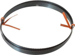 Disston - 14 TPI, 6' 8" Long x 1/2" Wide x 0.025" Thick, Welded Band Saw Blade - Carbon Steel, Toothed Edge, Raker Tooth Set, Flexible Back, Contour Cutting - Exact Tool & Supply