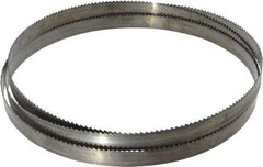 Disston - 6 TPI, 7' 9" Long x 3/4" Wide x 0.032" Thick, Welded Band Saw Blade - Carbon Steel, Toothed Edge, Raker Tooth Set, Flexible Back, Contour Cutting - Exact Tool & Supply