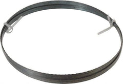 Disston - 10 TPI, 8' Long x 1/2" Wide x 0.025" Thick, Welded Band Saw Blade - Carbon Steel, Toothed Edge, Raker Tooth Set, Flexible Back, Contour Cutting - Exact Tool & Supply