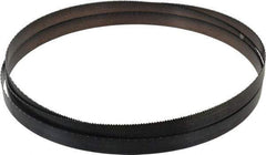 Disston - 10 TPI, 9' Long x 3/4" Wide x 0.032" Thick, Welded Band Saw Blade - Carbon Steel, Toothed Edge, Raker Tooth Set, Flexible Back, Contour Cutting - Exact Tool & Supply
