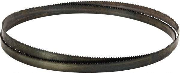 Disston - 6 TPI, 10' 10-1/2" Long x 3/4" Wide x 0.032" Thick, Welded Band Saw Blade - Carbon Steel, Toothed Edge, Raker Tooth Set, Flexible Back, Contour Cutting - Exact Tool & Supply