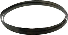 Disston - 6 TPI, 11' 6" Long x 3/4" Wide x 0.032" Thick, Welded Band Saw Blade - Carbon Steel, Toothed Edge, Raker Tooth Set, Flexible Back, Contour Cutting - Exact Tool & Supply