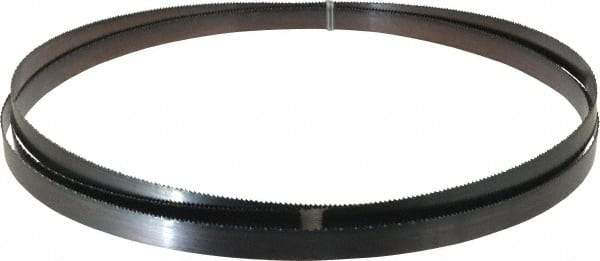 Disston - 10 TPI, 11' 6" Long x 3/4" Wide x 0.032" Thick, Welded Band Saw Blade - Carbon Steel, Toothed Edge, Raker Tooth Set, Flexible Back, Contour Cutting - Exact Tool & Supply