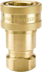 Parker - 1/2 NPTF Brass Hydraulic Hose Female Pipe Thread Coupler - 1,000 psi, 12 GPM - Exact Tool & Supply