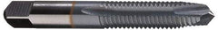 Cleveland - #4-40, 2 Flute, TiCN Finish, High Speed Steel Spiral Point Tap - Plug Chamfer, Right Hand Thread, 0.31" Thread Length, 2B Class of Fit, Series 1011TICN - Exact Tool & Supply