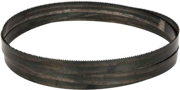Disston - 14 TPI, 5' Long x 1/2" Wide x 0.025" Thick, Welded Band Saw Blade - Carbon Steel, Toothed Edge, Raker Tooth Set, Hard Back, Contour Cutting - Exact Tool & Supply