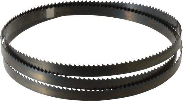 Disston - 6 TPI, 5' 4-1/2" Long x 1/2" Wide x 0.025" Thick, Welded Band Saw Blade - Carbon Steel, Toothed Edge, Raker Tooth Set, Hard Back, Contour Cutting - Exact Tool & Supply