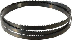 Disston - 6 TPI, 5' 4-1/2" Long x 1/2" Wide x 0.025" Thick, Welded Band Saw Blade - Carbon Steel, Toothed Edge, Raker Tooth Set, Hard Back, Contour Cutting - Exact Tool & Supply