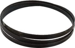 Disston - 10 TPI, 5' 4-1/2" Long x 1/2" Wide x 0.025" Thick, Welded Band Saw Blade - Carbon Steel, Toothed Edge, Raker Tooth Set, Hard Back, Contour Cutting - Exact Tool & Supply