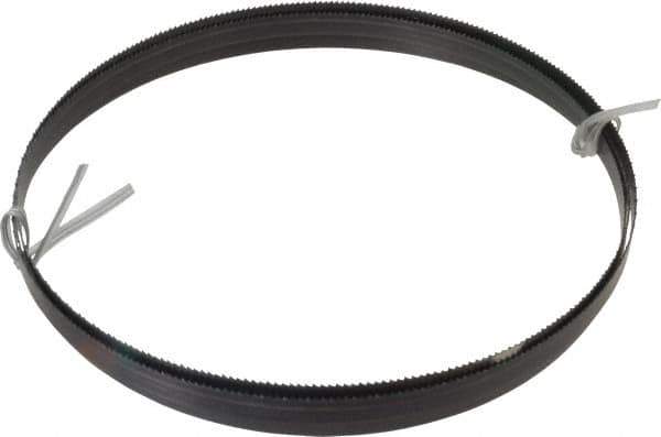 Disston - 10 TPI, 7' 5" Long x 1/2" Wide x 0.025" Thick, Welded Band Saw Blade - Carbon Steel, Toothed Edge, Raker Tooth Set, Hard Back, Contour Cutting - Exact Tool & Supply
