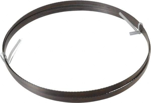 Disston - 18 TPI, 7' 9-1/2" Long x 1/2" Wide x 0.025" Thick, Welded Band Saw Blade - Carbon Steel, Toothed Edge, Raker Tooth Set, Hard Back, Contour Cutting - Exact Tool & Supply