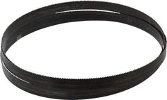 Disston - 10 TPI, 8' Long x 3/4" Wide x 0.032" Thick, Welded Band Saw Blade - Carbon Steel, Toothed Edge, Raker Tooth Set, Hard Back, Contour Cutting - Exact Tool & Supply