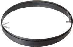 Disston - 10 TPI, 9' Long x 3/4" Wide x 0.032" Thick, Welded Band Saw Blade - Carbon Steel, Toothed Edge, Wavy Tooth Set, Hard Back, Contour Cutting - Exact Tool & Supply