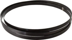 Disston - 14 TPI, 10' 5" Long x 3/4" Wide x 0.032" Thick, Welded Band Saw Blade - Carbon Steel, Toothed Edge, Raker Tooth Set, Hard Back, Contour Cutting - Exact Tool & Supply