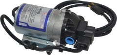 Pentair - 1/10 HP, 3/8 Inlet Size, 3/8 Outlet Size, Demand Switch, Diaphragm Spray Pump - 115 Input Voltage, Polypropylene, 1.40 Max GPM - Exact Tool & Supply