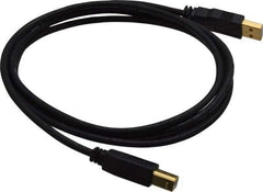 Tripp-Lite - 6' Long, USB A/B Computer Cable - Black, Male x Male - Exact Tool & Supply