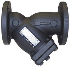 Legend Valve - 2" Pipe, Flanged Ends, Cast Iron Y-Strainer - 200 psi WOG Rating, 150 psi WSP Rating - Exact Tool & Supply
