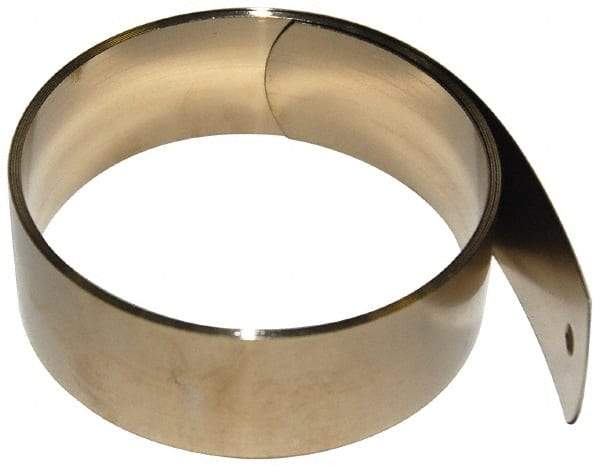 Gardner Spring - 0.01" Thick x 36" Long, 0.75 Lb Capacity Constant Force Spring - 0.68" Wide, 1.88" ID of Reflection, 3.38" Initial Extension, 0.187" End Hole Diam - Exact Tool & Supply