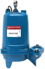 Goulds Pumps - 1/2 hp, 230 Amp Rating, 230 Volts, Nonautomatic Operation, Sewage Pump - 1 Phase, Cast Iron Housing - Exact Tool & Supply