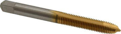 Cleveland - 1/4-28 UNF, 2 Flute, TiN Finish, High Speed Steel Spiral Point Tap - Plug Chamfer, Right Hand Thread, 63.5mm OAL, 25.4mm Thread Length, 3B Class of Fit, Series 1011TN - Exact Tool & Supply