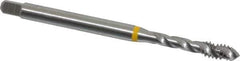 Emuge - #10-24 UNC 3 Flute 2B Modified Bottoming Spiral Flute Tap - Cobalt, Bright Finish, 2.756" OAL, Right Hand Flute, Right Hand Thread, Series Enorm - Exact Tool & Supply