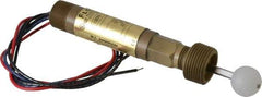 Dwyer - 1" Thread, 1,000 Max psi, 220°F Max, Liquid Level Float - 0.9 Float SG, Stainless Steel Stem - Exact Tool & Supply
