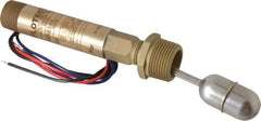 Dwyer - 1" Thread, 200 Max psi, 220°F Max, Liquid Level Float - 0.5 Float SG, Stainless Steel Stem - Exact Tool & Supply