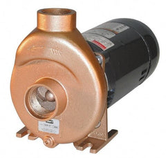 American Machine & Tool - 115/230 Volt, 13/ 7 Amp, 1 Phase, 3/4 HP, Self Priming Spa and Pool Pump - 56J Frame, 1-1/2 Inch Inlet, ODP Motor, Bronze Housing and Impeller, Buna N Seal - Exact Tool & Supply