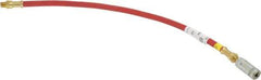 Alemite - 18" Long, 4,800 psi Operating Pressure, Grease Gun Hose & Coupler Assembly - 1/8 NPTF - Exact Tool & Supply