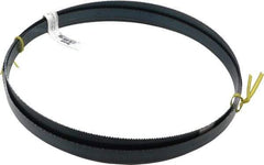 Starrett - 10 TPI, 8' 11" Long x 3/4" Wide x 0.032" Thick, Welded Band Saw Blade - Carbon Steel, Toothed Edge, Raker Tooth Set, Flexible Back, Contour Cutting - Exact Tool & Supply