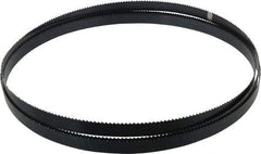 Starrett - 6 TPI, 10' 5" Long x 3/4" Wide x 0.032" Thick, Welded Band Saw Blade - Carbon Steel, Toothed Edge, Raker Tooth Set, Flexible Back, Contour Cutting - Exact Tool & Supply