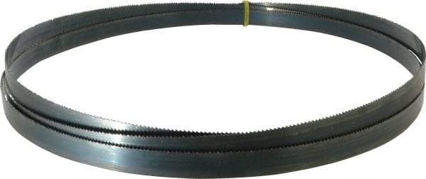 Starrett - 10 TPI, 10' 10-1/2" Long x 3/4" Wide x 0.032" Thick, Welded Band Saw Blade - Carbon Steel, Toothed Edge, Raker Tooth Set, Flexible Back, Contour Cutting - Exact Tool & Supply
