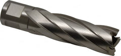 Hougen - 25/32" Diam x 2" Deep High Speed Steel Annular Cutter - Exact Tool & Supply